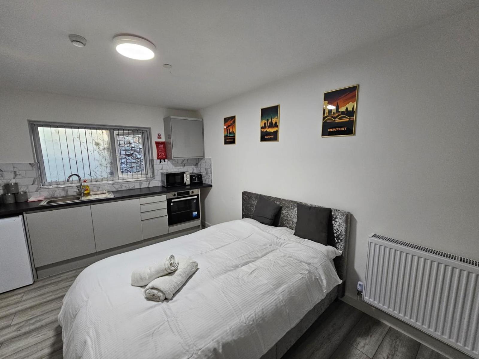 Cosy Cardiff Apartments - Garden Lounge Eksteriør billede